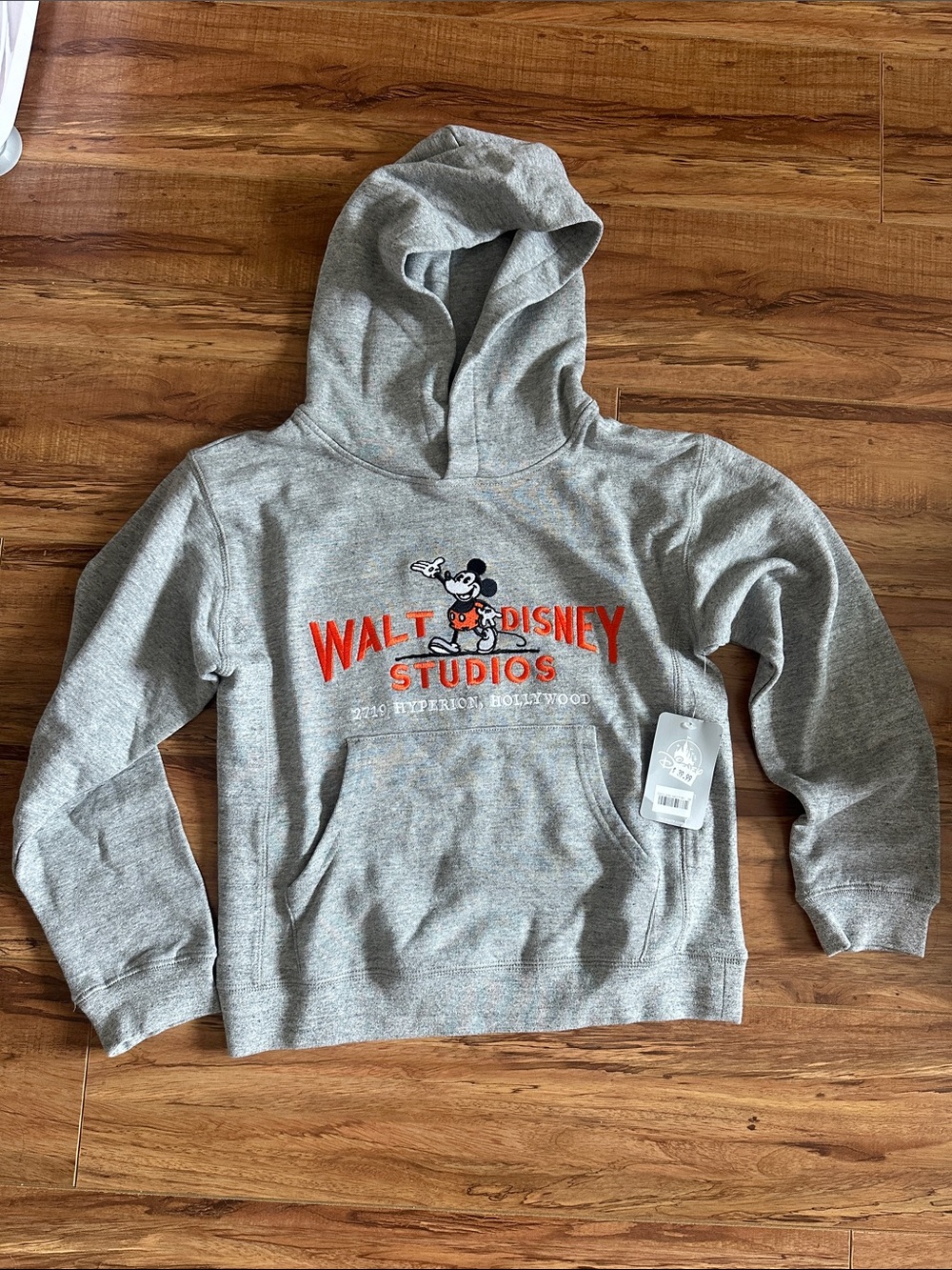 Disney Grey Hoodie with Red Walt Disney Studios Embroidery